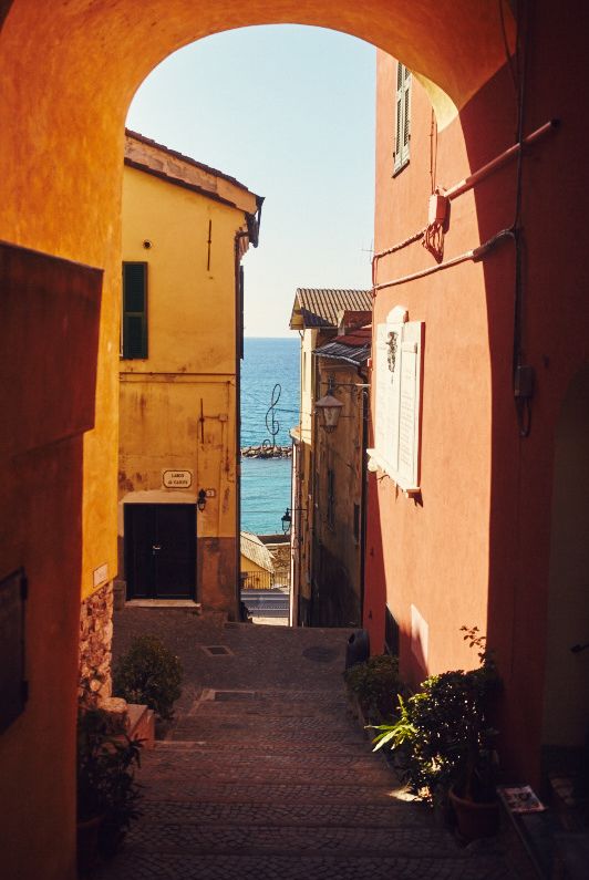 cervo-8